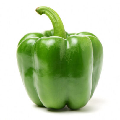 Capsicum